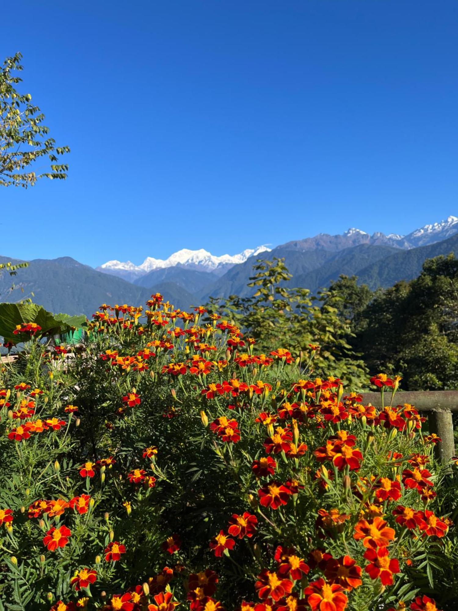 Ifseen Villa Pelling Exterior photo