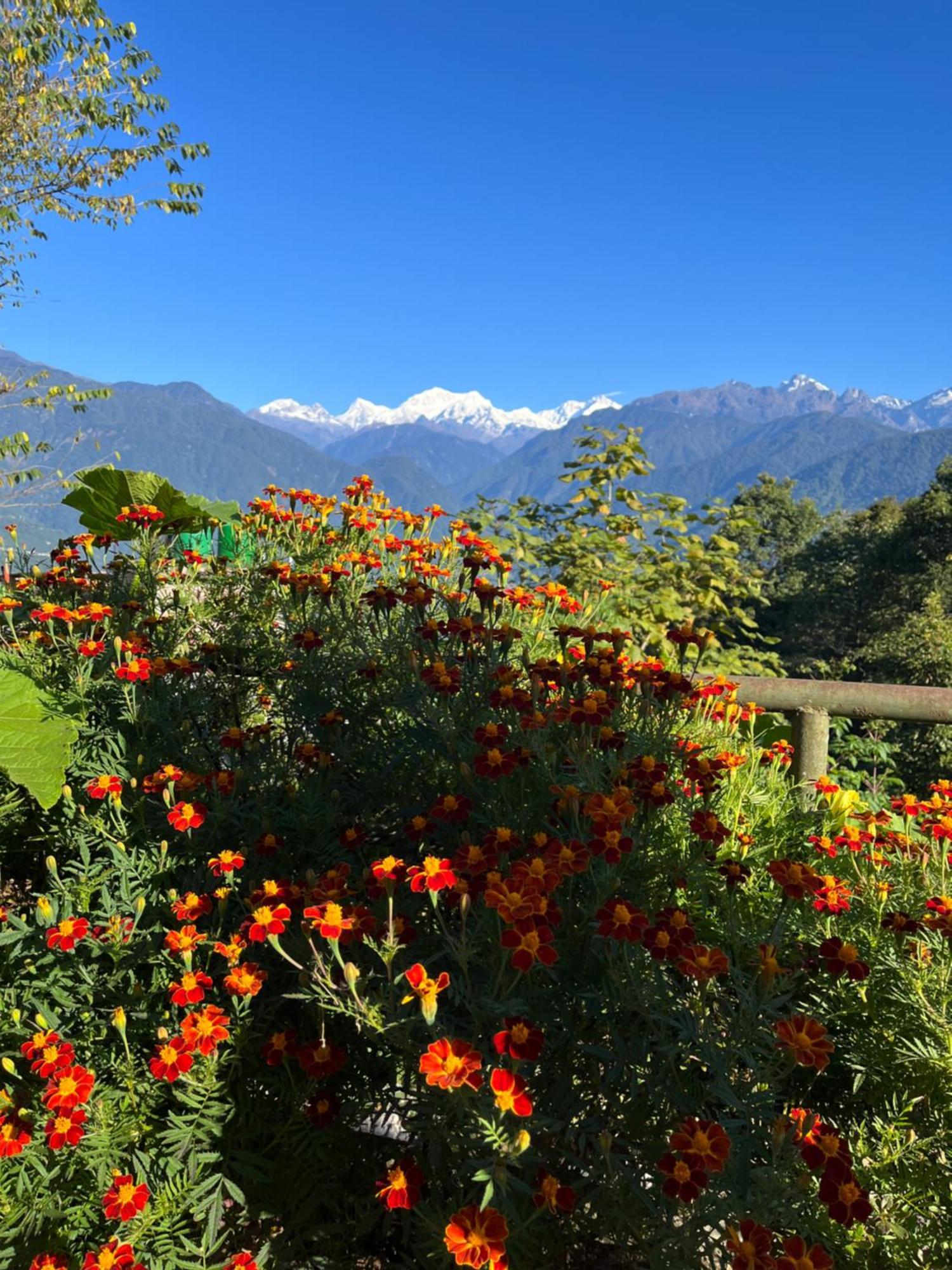 Ifseen Villa Pelling Exterior photo
