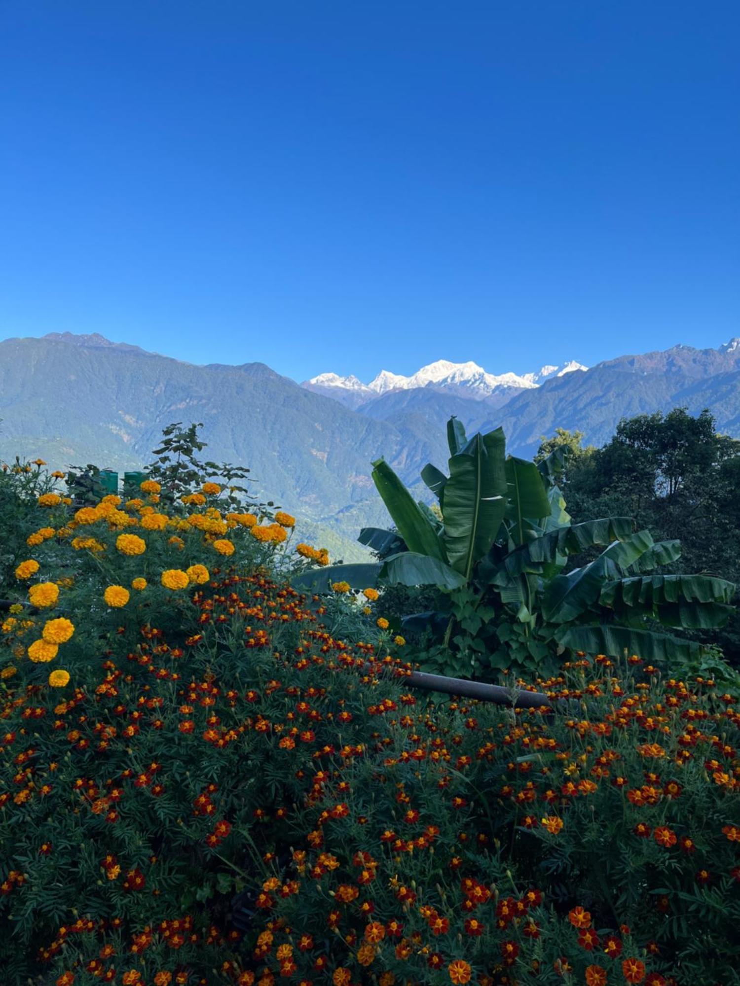 Ifseen Villa Pelling Exterior photo